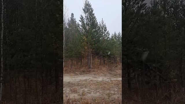 с первым снегом смотреть онлайн