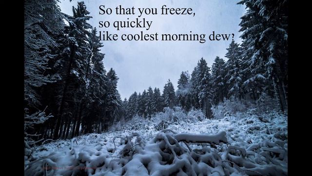 Winter Journey. 3. Frozen Tears смотреть онлайн