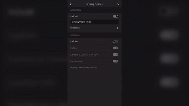 How To Add Watermarks With NEW Lightroom CC (Easy Tutorial) смотреть онлайн