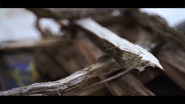 STANISLAV & OLGA BALARAMA'S WEDDING in Kriya Yoga Ashram (2018)