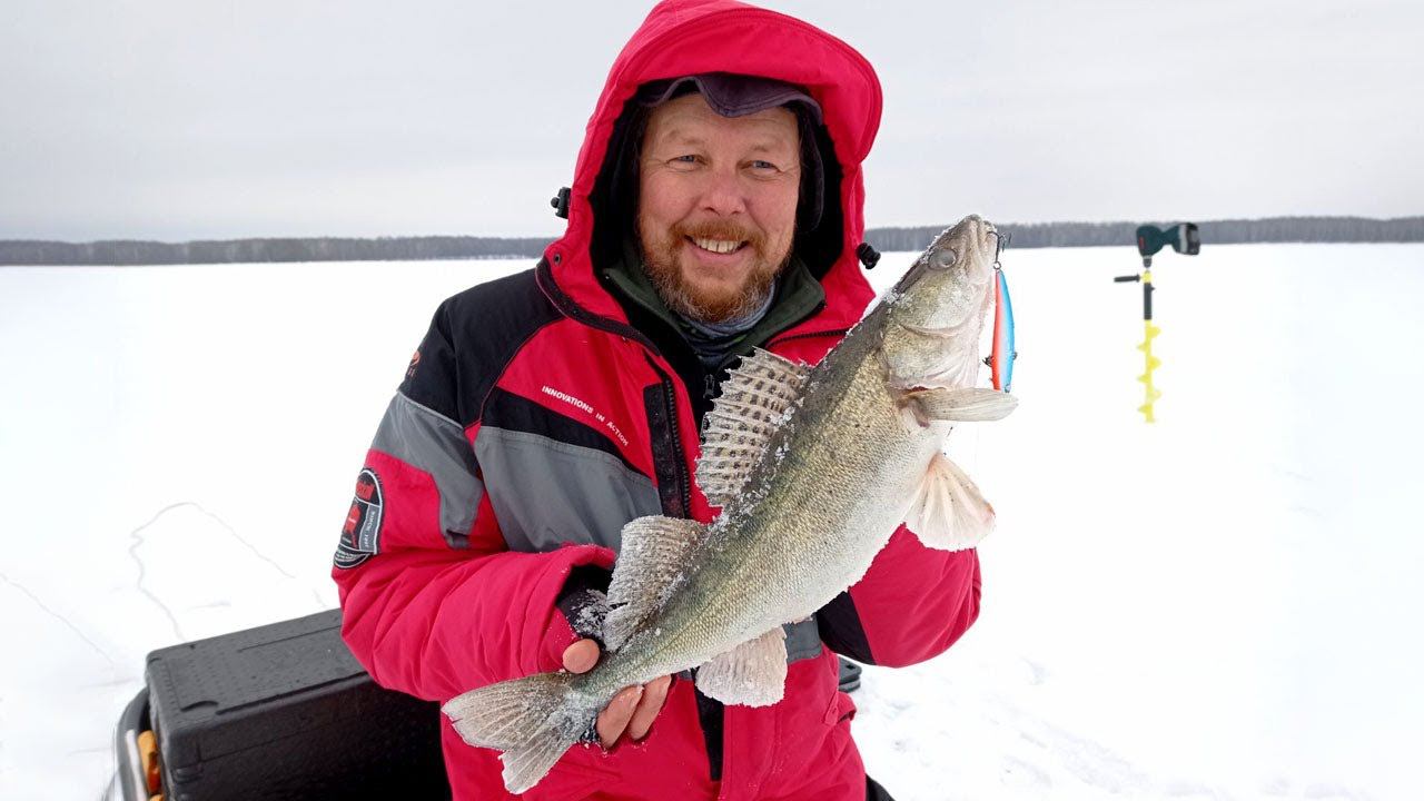 Предновогодние поиски хищника на Чебоксарском водохранилище. Ловля на вибы и балансиры. смотреть онлайн