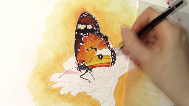 BUTTERFLY in orange [Realistic Watercolor Painting] смотреть онлайн
