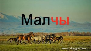Алтайский язык. Урок № 9. Профессия и хобби.