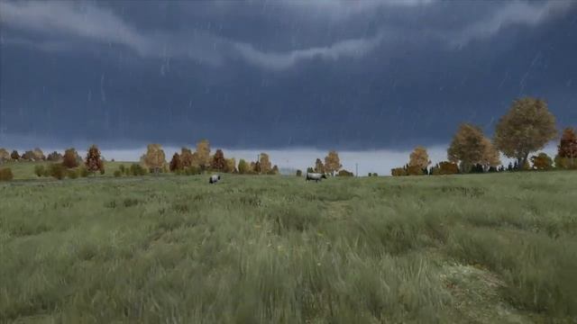 Заготовка мяса для стрима :) смотреть онлайн