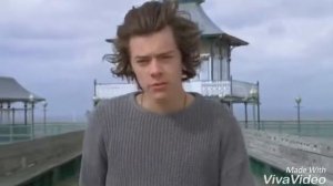 Голос Гарри Стайлса ( Harry Styles )  Даша Жей