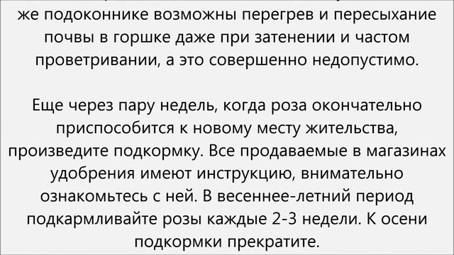 Мода для Женщин