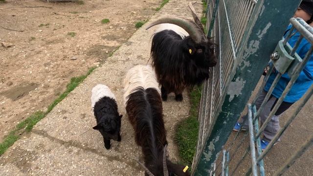 3 апреля 2023 г. смотреть онлайн