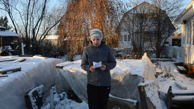 Ароматные розы: лучшие сорта смотреть онлайн