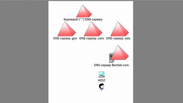 4-ДНС основные понятия смотреть онлайн