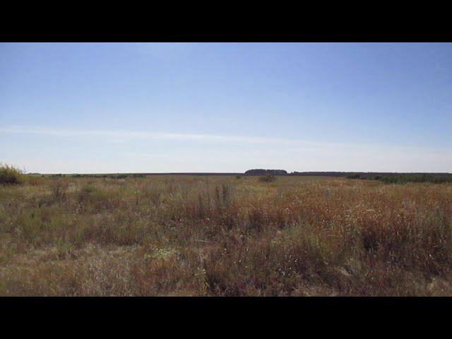 Заброшенный посёлок Лесной, Красноармейский район