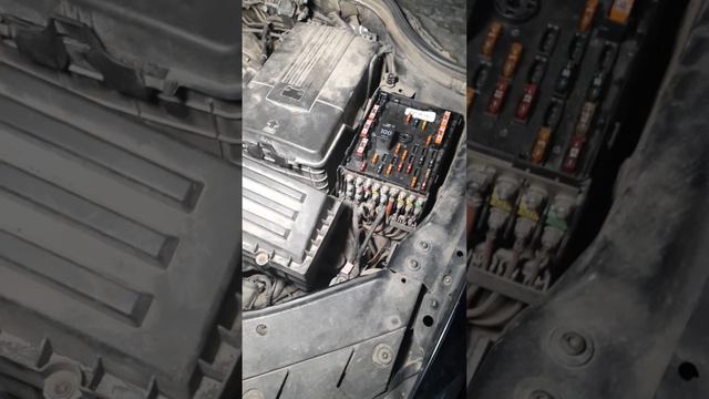 Лера Гаврилова