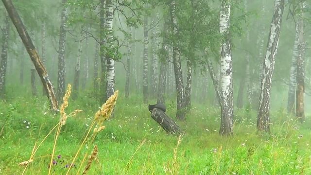 ТОМСК утро в тумане