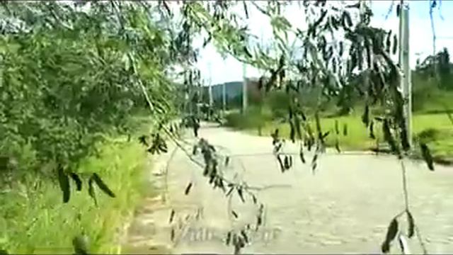 Peugeot 207 passion смотреть онлайн