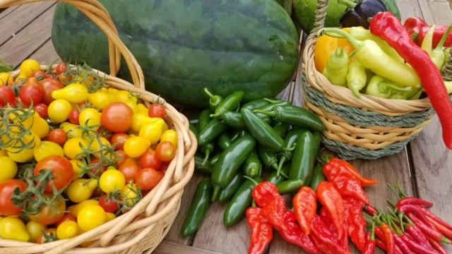 Господь, Ты так много для каждого сделал! Христианская песня смотреть онлайн