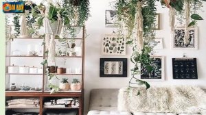 Комнатные растения в интерьере [ Идеи как украсить квартиру ]