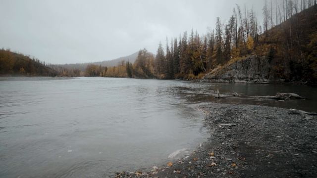 Project 49 | Fly Fishing Kenai River, Alaska смотреть онлайн