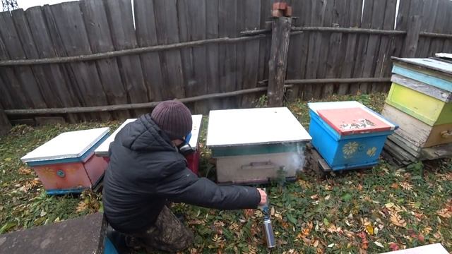 ОСЕННЯЯ ОБРАБОТКА ОТ КЛЕЩА ВАРРОА ПОСЛЕ ВЫХОДА РАСПЛОДА, РАСТВОР РАБОТАЕТ смотреть онлайн