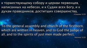 10.Виталий Олейник Путь к центру Вселенной Путь во святилище..mp4