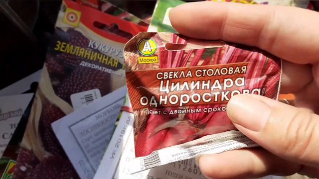 Купили дом в деревне. Цветы в моем полисаднике 🌸🌼🌺 Обзор семян на 2021 год. смотреть онлайн