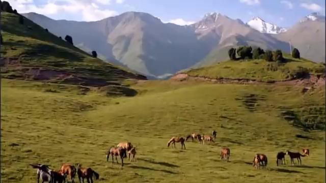 Монолог Толгонай. Айтматов “Материнское поле“ смотреть онлайн