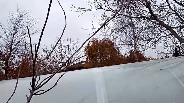 Осенняя съёмка калины Гордовина. Густая, здоровая, надёжная. смотреть онлайн