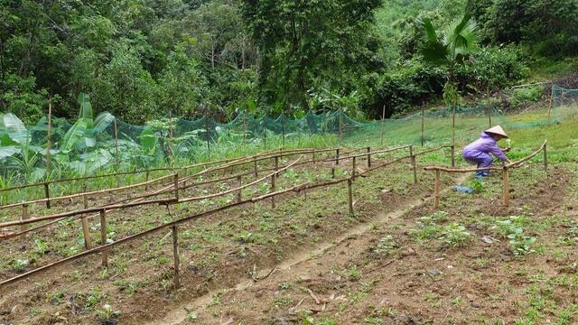 Jena builds stairs to a stone house in the rain storm. Jena farm, Build green forest life Ep80 смотреть онлайн