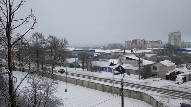 2202 4К Склады Сосна Липа Станция юных натуралистов Улица Автовокзальная Комсомольская Ботаника Клё смотреть онлайн