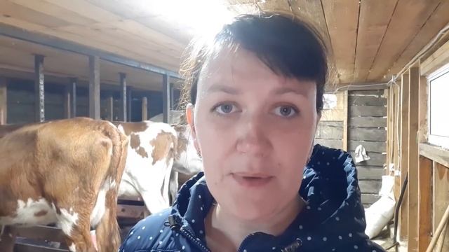 НЕТ ДЕНЕГ НА ЗЕРНО! ЧТО ДЕЛАТЬ? смотреть онлайн