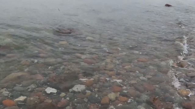 Две форели на рождество смотреть онлайн