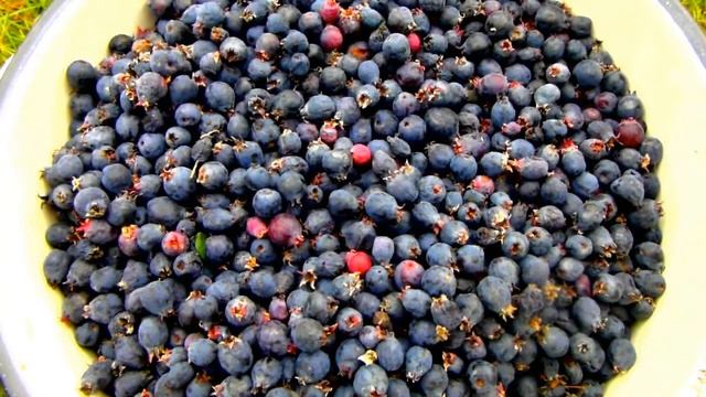 Ремонтный Университет