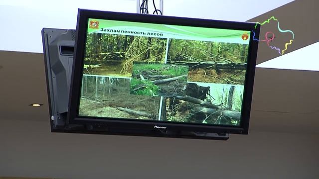 Рекреационные зоны могут организовать в МО - Воробьев смотреть онлайн
