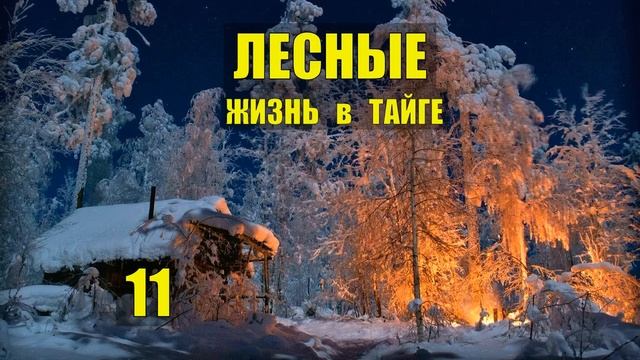 ЛЕСНЫЕ ЛЮДИ в ДЕРЕВНЕ ЛЕСОПОВАЛ ТАЁЖНЫЙ РОМАН ЖИЗНЬ в ТАЙГЕ ИСТОРИИ из ЖИЗНИ в ЛЕСУ СЕРИАЛ 11 смотреть онлайн