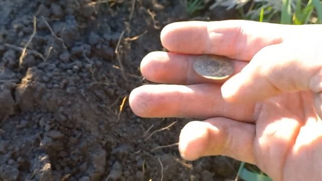 БОМБИЧЕСКИЙ коп. Впервые нашёл такую вещь!!! смотреть онлайн