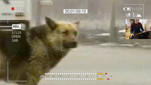This dog continued to wait for his owners until the end.. смотреть онлайн