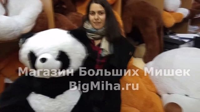 Мягкая игрушка панда | Купить панду в СПб смотреть онлайн