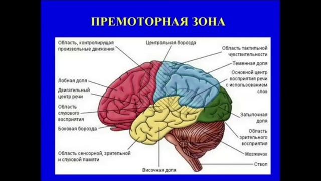 Хосроева- магический ВЫКИДЫШ смотреть онлайн