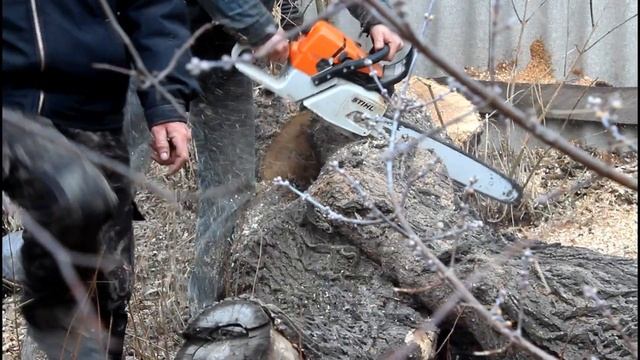 Участок дома зачистка от клена бензопилой Stihl MS 361 смотреть онлайн