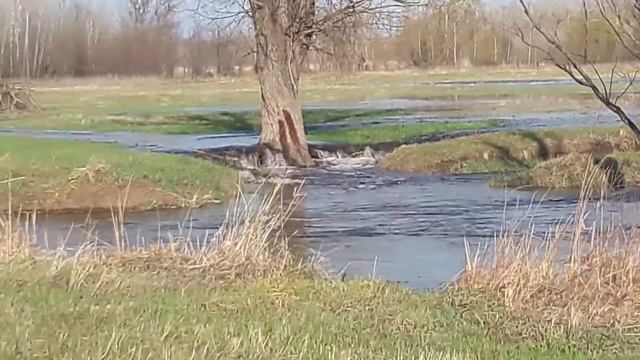 Волго-ахтубинская пойма 22 апреля 2018 смотреть онлайн