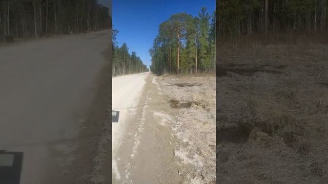 Как строятся дороги через болота смотреть онлайн