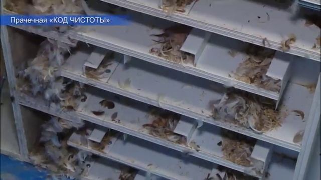 Сухая аппаратная чистка подушек, стирка одеял, пледов. смотреть онлайн