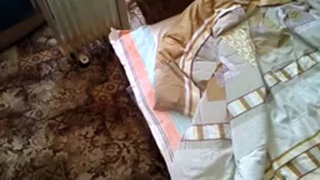 Аквариум своими руками на 120 литров из стекла 4 мм (Часть 2) смотреть онлайн