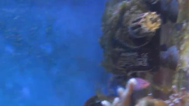 150 литров моря смотреть онлайн