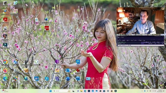 KB 5034848 optionales Windows 11 Update vom 29 02 2024 смотреть онлайн