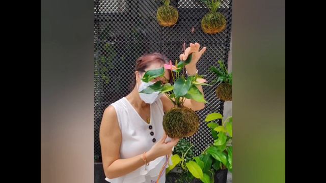 World of Phalaenopsis- Bring the Kids Out with Teacher Shireen смотреть онлайн