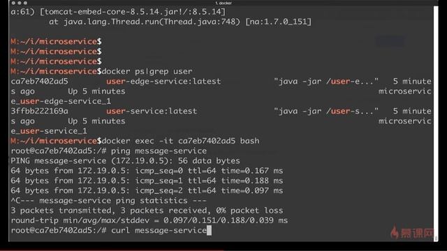 Docker+Kubernetes(k8s)微服务容器化实战-- 4 4 docker下的服务通讯（下） смотреть онлайн