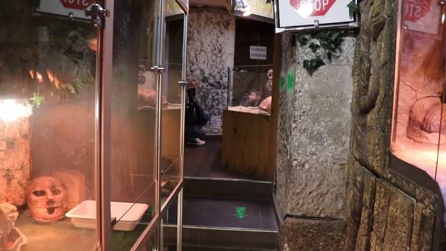 Тигровые питоны, вараны, сетчатый питон, гавиалы! Ялтинский крокодиляриум. смотреть онлайн