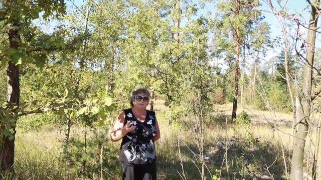 Как хранить овощи в квартире и заготовки на зиму смотреть онлайн