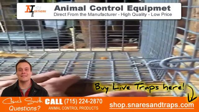 How to catch rabbits | Live Traps смотреть онлайн