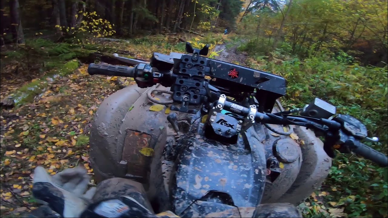 КАК Я НАШЁЛ НОВУЮ УБОЙНУЮ ДОРОГУ В ЛЕСУ смотреть онлайн