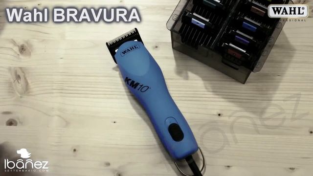 Wahl KM5 - Video promocional WAHL peluqueria canina смотреть онлайн